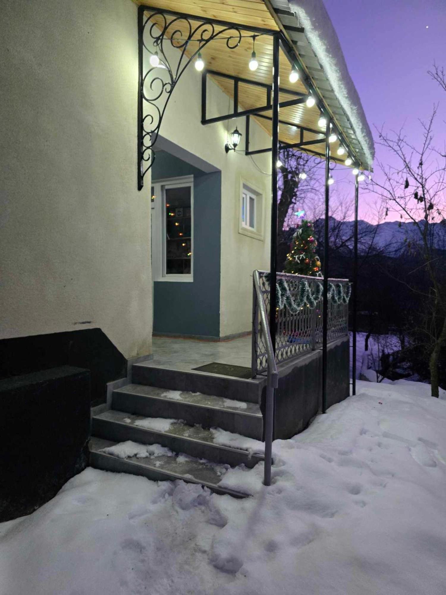 Guest House Vivaushba Bagvdanari Exterior photo