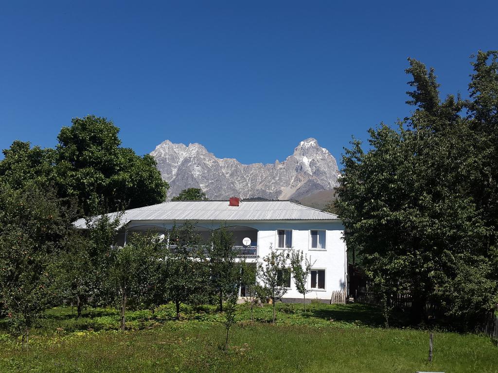 Guest House Vivaushba Bagvdanari Exterior photo